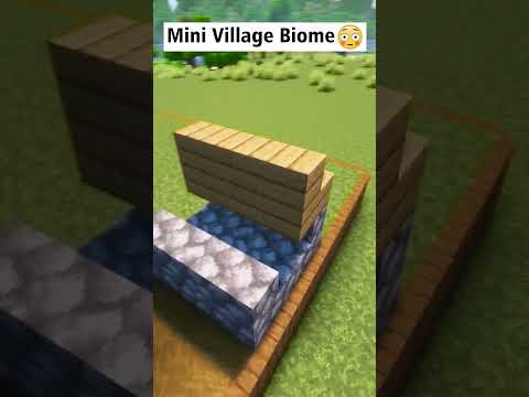 Minecraft Mini Village Biome😳 #shorts