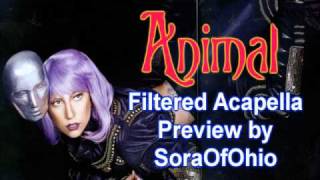Lady Gaga &quot;Animal&quot; Filtered Acapella Preview!!