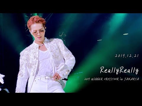 [191221 - 2019 WINNER CROSSTOUR in JAKARTA] WINNER 송민호 (MINO) 4K 직캠 : ReallyReally