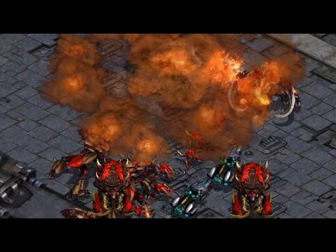 NOM NOM NOM - Shinee! 🇰🇷 (T) Soma 🇰🇷 (Z)! on Radeon - StarCraft - Brood War 2025