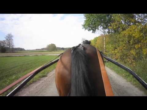 Två timmars tur med Staro Denim