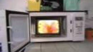 EARLIMART Hymn and Her