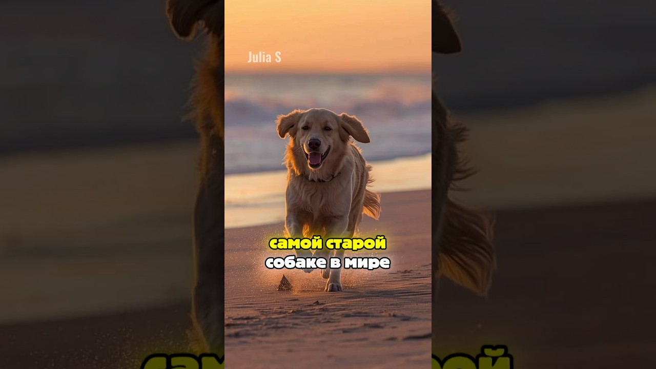 Факты, В Которые Сложно Поверить