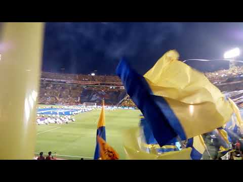 "IMPACTANTE recibimiento en el Estadio Universitario | TIGRES vs LEÓN | GRAN FINAL Clausura 2019" Barra: Libres y Lokos &bull; Club: Tigres