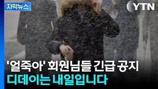 [자막뉴스] 내일 아침 영하권 추위...'대설주의보'까지 내려진 강원도 근황 / YTN