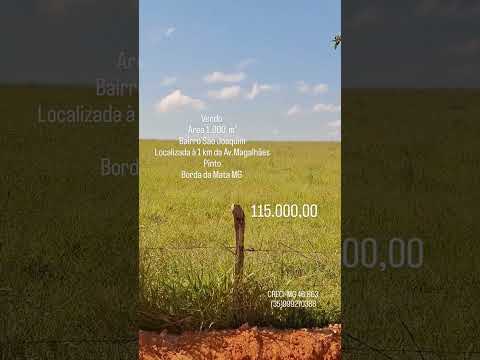 Vendo área 1.000 m2/ 1km do centro Borda da Mata MG/115.000,00/ (35)999270388