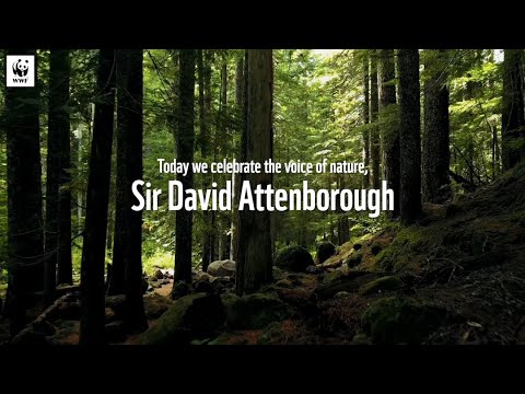 Happy 94th Birthday, Sir David Attenborough | WWF-Australia