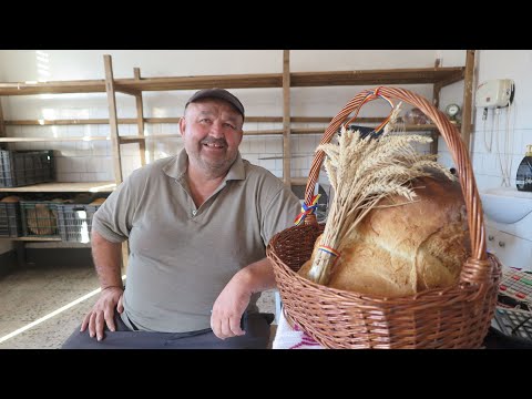 Pita de Pecica, pâinea preferată a lui Nicolae Ceaușescu, produsă și astăzi