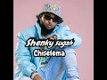 Shenky sugah - Chiselema mp3