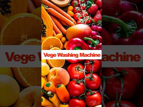 Veggie washing machine 🍅🍎🌶️🫑🥕🥔🍠#businessideas #food #farming #machine