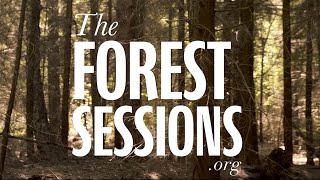 Forest sessions with Songs for Walter - Nick's song