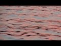 Spiegel im Spiegel (Arvo Pärt) 