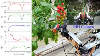 Tomato Harvesting Robot