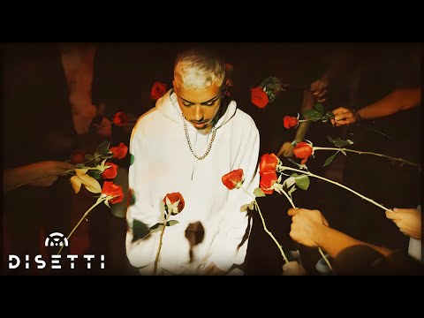 DAFEL - PLAYBOY 👯‍♀️ (OFFICIAL VIDEO)