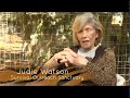 Cat Tales Trailer