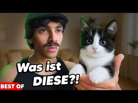 Ausländer Väter wenn sie eine KATZE bekommen... 😳😂 |  Mohi__07
