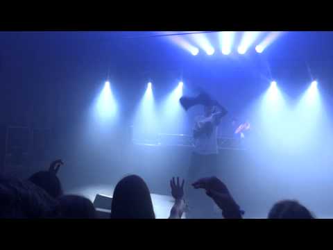 Sensithief Regałowisko 2014