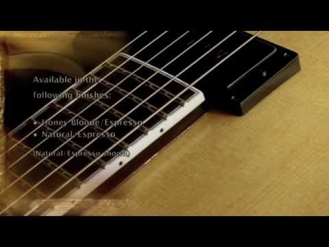 Benedetto Guitars: The Benny