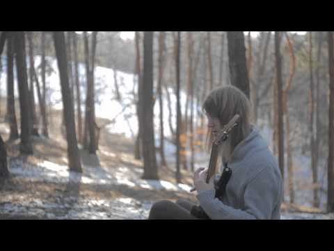 Scale The Summit - The Levitated (ChocoSlayc Cover)