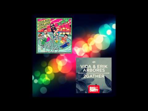 Chris Lake & Steve Aoki & Tujamo vs. Vida & Erik Arbores Boneless (Dj NB Mashup)