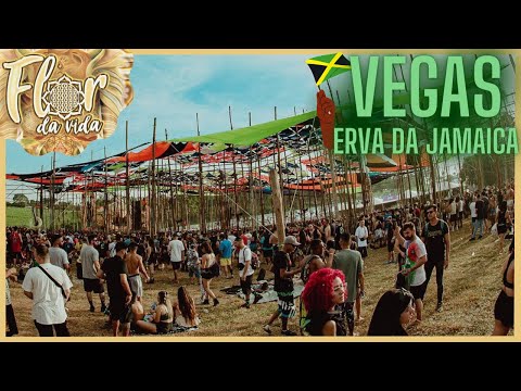 Vegas - Erva da Jamaica @ Flor da Vida 2023