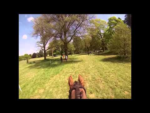 Bloody Trees at Borde Hill!!!!