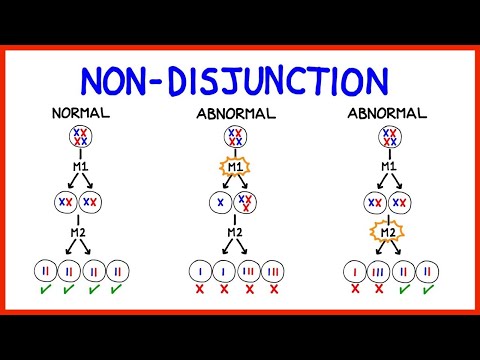 Chromosomal Abnormalities, Aneuploidy and Non-Disjunction