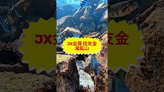 #日本株 #株初心者 #株式投資 #投資の勉強 #資産運用 #お金の勉強 #資産形成 #配当金活 #株主優待 #長期投資 #日本株投資 #youtubeshorts