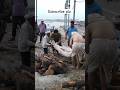 Kashi Manikarnika Ghat Placing The Dead Body On The Pyre ️