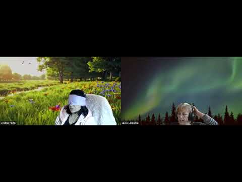 HIPNOZA REGRESIVA.RO-33.Tudor,lumea virtuala,entitatea din caprioara impaiata E LASCU si CRISTINA