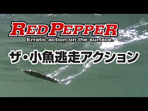 Tiemco Red Pepper Junior 100mm 9g 108 Kinkuro F