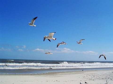 San Diego và những dấu yêu Sheet - Long Hoàng Lê