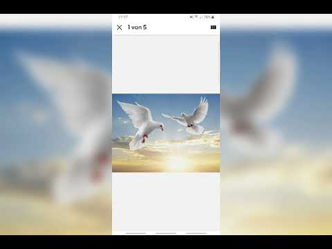 ethiopian tigrigna music mesfin birhanu gena gena