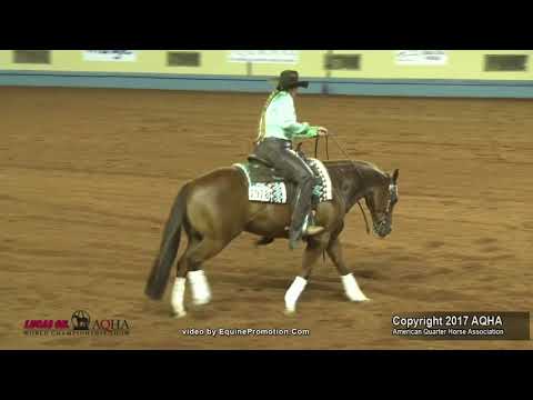 2017 AQHA Amateur Reining