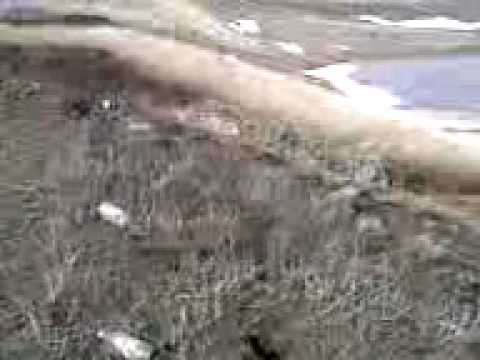 Viitura Mereni de jos,jud.TELEORMAN.3gp