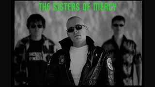 The Sisters Of Merycy: We Are The Same, Susanne.