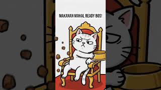 Download lagu Majikan Sebenarnya: Realita Punya Kucing Menguasai Rumah mp3