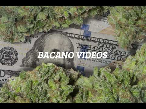 Habitación del shera [yemil,sech, Bvlgari] ¡Videos diferentes !