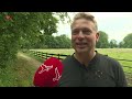 Meer biodiversiteit moet wilde bijen helpen in Dronten