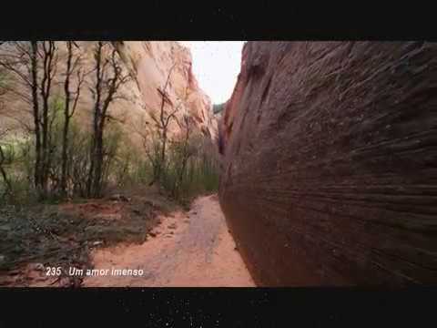 235 Hino CCB Um amor imenso