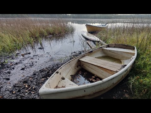 HALSJÖN i KALLINGE - östra sidan - 2023-10-13 - OnePlus 9 pro - RONNEBY - Blekinge
