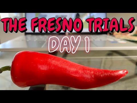 The Fresno Pepper Class! Do they taste like jalapeno's to you? Let me know.