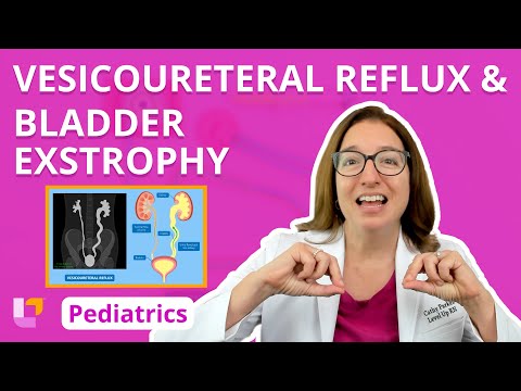 Vesicoureteral Reflux & Bladder Exstrophy: Alterations in Health - Pediatric Nursing | @LevelUpRN
