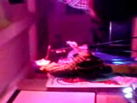 Take That 2 - Clown Medley 31st January 09