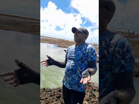 Amo esse lugarzinho...São José da Coroa Grande Pernambuco.