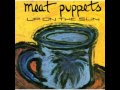 Meat Puppets - Enchanted Porkfist