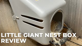 A Sturdy Plastic Chicken Nesting Box - Review of the Little Giant