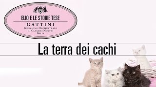 Elio e le Storie Tese - La terra dei cachi "Tratto dall'album Gattini"