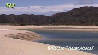 preview picture of video 'New Zealand - Abel Tasman National Park'
