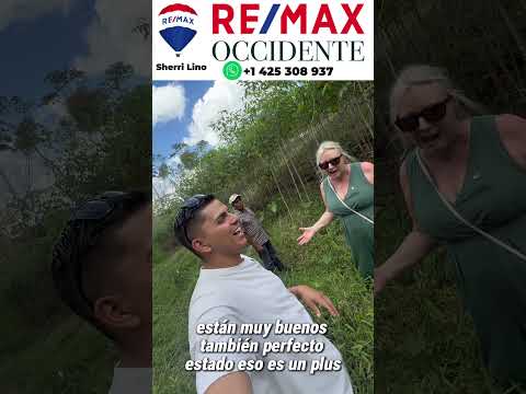 img-video